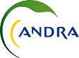 logo Andra